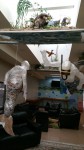 20160401_083213